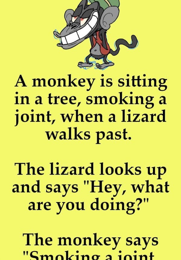 Funny: A monkey is sitting in a tree, smoking a joint, when a lizard walks past